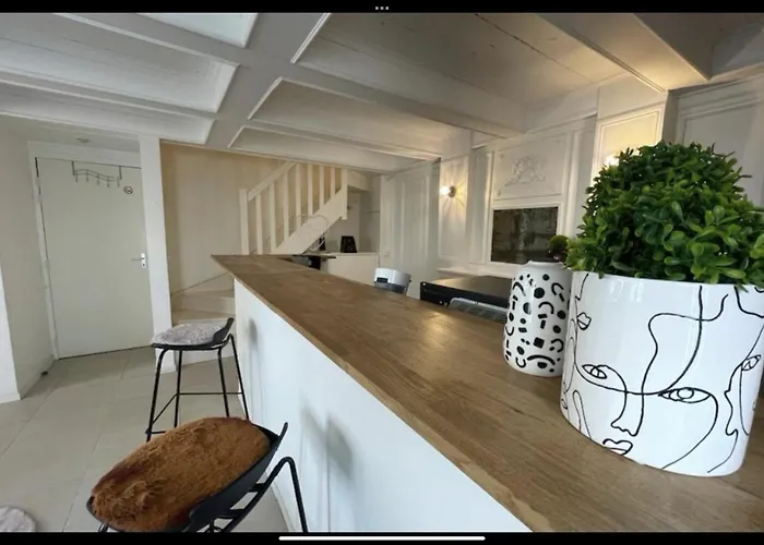 Plein Centre De Apartment *